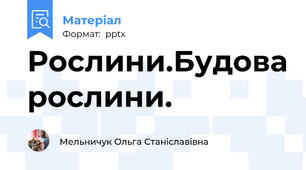 Рослини.Будова рослини.