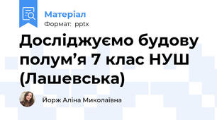 Досліджуємо будову полум’я 7 клас НУШ (Лашевська)