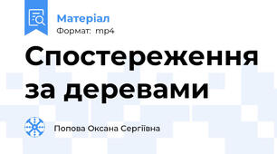Спостереження за деревами