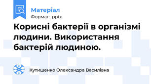 Корисні бактерії в організмі людини. Використання бактерій людиною.