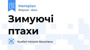 Зимуючі птахи