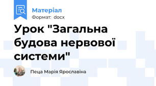 Урок "Загальна будова нервової системи"