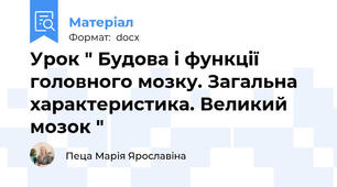 Урок " Будова і функції головного мозку. Загальна характеристика. Великий мозок "