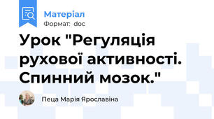Урок "Регуляція рухової активності. Спинний мозок."