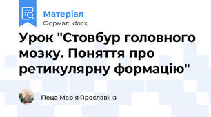 Урок "Стовбур головного мозку. Поняття про ретикулярну формацію"