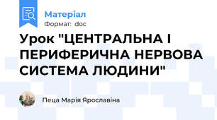 Урок "ЦЕНТРАЛЬНА І ПЕРИФЕРИЧНА НЕРВОВА СИСТЕМА ЛЮДИНИ"