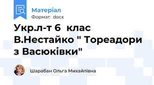 Укр.л-т 6  клас В.Нестайко " Тореадори з Васюківки"