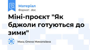 Міні-проєкт "Як бджоли готуються до зими"