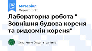 Лабораторна робота " Зовнішня будова кореня та видозмін кореня"