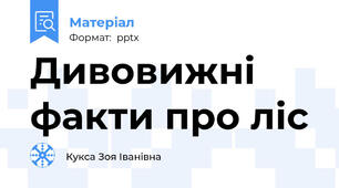 Дивовижні факти про ліс