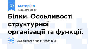 Білки. Осоьливості структурної організації та функції.