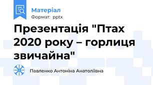 Презентація "Птах 2020 року – горлиця звичайна"