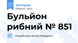 Бульйон рибний № 851