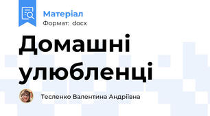 Домашні улюбленці