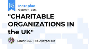 "CHARITABLE ORGANIZATIONS IN the UK"