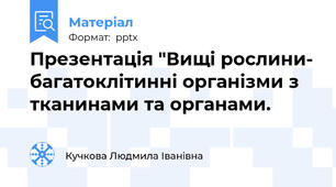 Презентація "Вищі рослини- багатоклітинні організми з тканинами та органами.