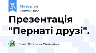 Презентація "Пернаті друзі".