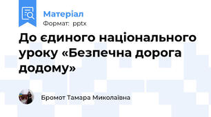 До єдиного національного уроку «Безпечна дорога додому»