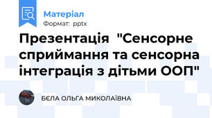 Презентація  "Сенсорне сприймання та сенсорна інтеграція з дітьми ООП"