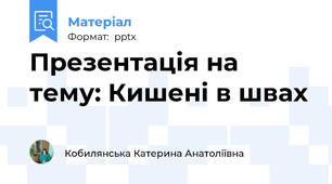 Презентація на тему: Кишені в швах