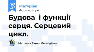 Будова  і функції серця. Серцевий цикл.