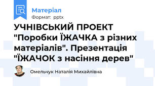 УЧНІВСЬКИЙ ПРОЕКТ "Поробки ЇЖАЧКА з різних матеріалів". Презентація "ЇЖАЧОК з насіння дерев"