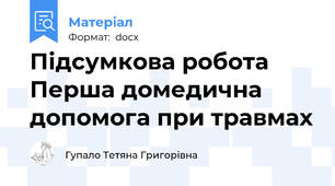 Підсумкова робота Перша домедична допомога при травмах