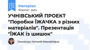 УЧНІВСЬКИЙ ПРОЕКТ "Поробки ЇЖАЧКА з різних матеріалів". Презентація "ЇЖАК із шишок"