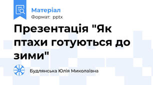 Презентація "Як птахи готуються до зими"