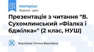 Презентація з читання "В. Сухомлинський «Фіалка і бджілка»" (2 клас, НУШ)
