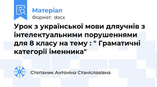 Урок з української мови дляучнів з інтелектуальними порушеннями для 8 класу на тему : " Граматичні категорії іменника"