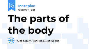 The parts of the body