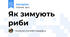 Як зимують риби