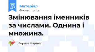 Змінювання іменників за числами. Однина і множина.