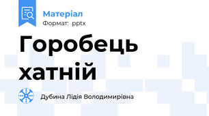 Горобець хатній