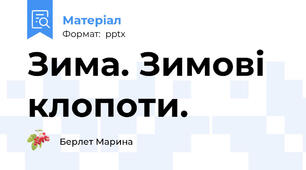 Зима. Зимові клопоти.