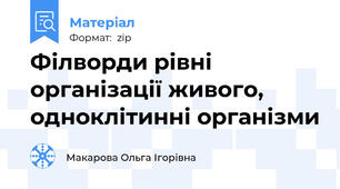 Філворди рівні організації живого, одноклітинні організми