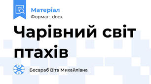Чарівний світ птахів