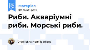 Риби. Акваріумні риби. Морські риби.