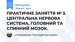 ПРАКТИЧНЕ ЗАНЯТТЯ № 3.  ЦЕНТРАЛЬНА НЕРВОВА СИСТЕМА, ГОЛОВНИЙ ТА СПИННИЙ МОЗОК.