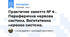 Практичне заняття № 4 . Периферична нервова система. Вегетативна нервова система.
