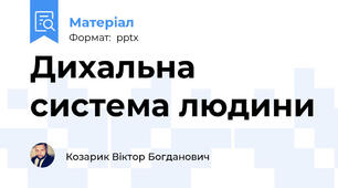 Дихальна система людини