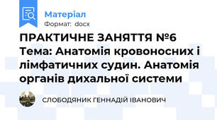 ПРАКТИЧНЕ ЗАНЯТТЯ №6  Тема: Анатомія кровоносних і лімфатичних судин. Анатомія органів дихальної системи