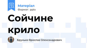 Сойчине крило