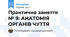 Практичне заняття № 9: АНАТОМІЯ ОРГАНІВ ЧУТТЯ