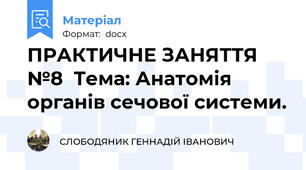ПРАКТИЧНЕ ЗАНЯТТЯ №8  Тема: Анатомія органів сечової системи.