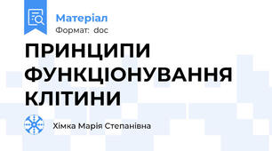 ПРИНЦИПИ ФУНКЦІОНУВАННЯ КЛІТИНИ