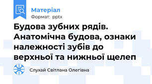 Будова зубних рядів. Анатомічна будова, ознаки належності зубів до верхньої та нижньої щелеп