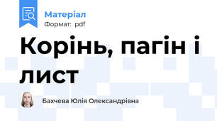 Корінь, пагін і лист