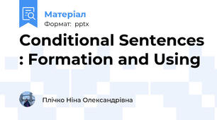 Conditional Sentences : Formation and Using